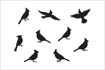 Bird Silhouette Bundle | Flying Birds Vector Clipart | SVG, PNG, EPS for Cricut & Laser Cutting

Birds Vector Silhouettes | Wildlife Animal SVG Files | Digital Bird Clipart for Crafts & Decor

Flying 
