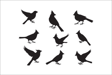 Bird Silhouette Bundle | Flying Birds Vector Clipart | SVG, PNG, EPS for Cricut & Laser Cutting

Birds Vector Silhouettes | Wildlife Animal SVG Files | Digital Bird Clipart for Crafts & Decor

Flying 