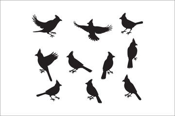 Bird Silhouette Bundle | Flying Birds Vector Clipart | SVG, PNG, EPS for Cricut & Laser Cutting

Birds Vector Silhouettes | Wildlife Animal SVG Files | Digital Bird Clipart for Crafts & Decor

Flying 