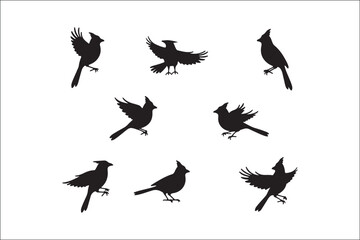 Bird Silhouette Bundle | Flying Birds Vector Clipart | SVG, PNG, EPS for Cricut & Laser Cutting

Birds Vector Silhouettes | Wildlife Animal SVG Files | Digital Bird Clipart for Crafts & Decor

Flying 