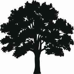 Black oak silhouette vector, leaf and branch art