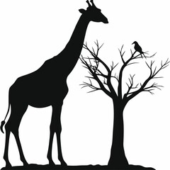 Black giraffe silhouette vector illustration of wild mammal