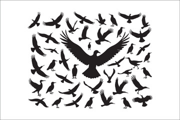 Bird Silhouette Bundle | Flying Birds Vector Clipart | SVG, PNG, EPS for Cricut & Laser Cutting

Birds Vector Silhouettes | Wildlife Animal SVG Files | Digital Bird Clipart for Crafts & Decor

Flying 
