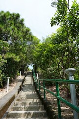 Concrete steps ascending through a shaded forest path surrounded by trees, offering a tranquil scene perfect for eco-tourism and nature lovers.