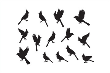 Bird Silhouette Bundle | Flying Birds Vector Clipart | SVG, PNG, EPS for Cricut & Laser Cutting

Birds Vector Silhouettes | Wildlife Animal SVG Files | Digital Bird Clipart for Crafts & Decor

Flying 