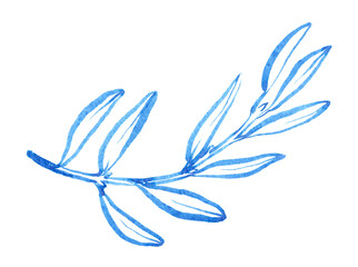 Watercolor hand drawn olibe branch. Linear brush drawn olive brunch with leaves . Use as print, poster, invitation, element design, textile, package, clothes print, stickers. © daria