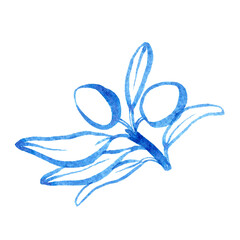 Watercolor hand drawn olibe branch. Linear brush drawn olive brunch with leaves and olive. Use as print, poster, invitation, element design, textile, package, clothes print, stickers.