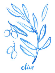 Watercolor hand drawn olibe branch. Linear brush drawn olive brunch with leaves and olive. Use as print, poster, invitation, element design, textile, package, clothes print, stickers.