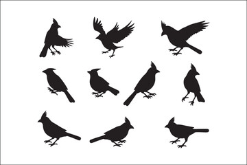 Bird Silhouette Bundle | Flying Birds Vector Clipart | SVG, PNG, EPS for Cricut & Laser Cutting

Birds Vector Silhouettes | Wildlife Animal SVG Files | Digital Bird Clipart for Crafts & Decor

Flying 