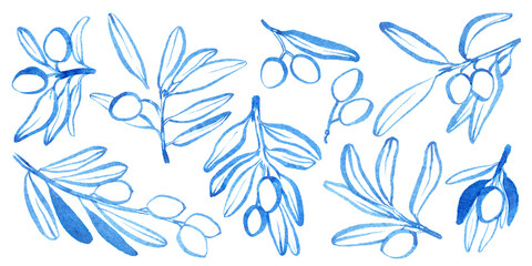 Watercolor hand drawn olibe branch. Linear brush drawn olive brunch with leaves and olive. Use as print, poster, invitation, element design, textile, package, clothes print, stickers.