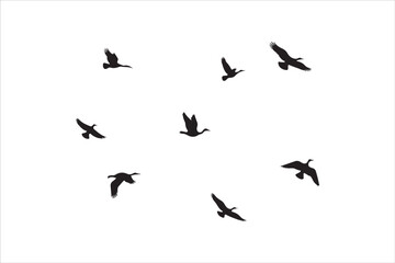 Bird Silhouette Bundle | Flying Birds Vector Clipart | SVG, PNG, EPS for Cricut & Laser Cutting

Birds Vector Silhouettes | Wildlife Animal SVG Files | Digital Bird Clipart for Crafts & Decor

Flying 