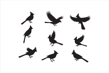 Bird Silhouette Bundle | Flying Birds Vector Clipart | SVG, PNG, EPS for Cricut & Laser Cutting

Birds Vector Silhouettes | Wildlife Animal SVG Files | Digital Bird Clipart for Crafts & Decor

Flying 