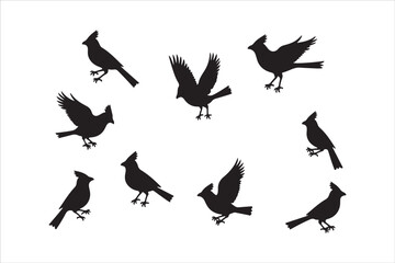 Bird Silhouette Bundle | Flying Birds Vector Clipart | SVG, PNG, EPS for Cricut & Laser Cutting

Birds Vector Silhouettes | Wildlife Animal SVG Files | Digital Bird Clipart for Crafts & Decor

Flying 