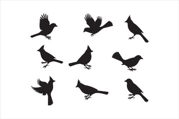 Bird Silhouette Bundle | Flying Birds Vector Clipart | SVG, PNG, EPS for Cricut & Laser Cutting

Birds Vector Silhouettes | Wildlife Animal SVG Files | Digital Bird Clipart for Crafts & Decor

Flying 
