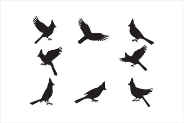 Obraz premium Bird Silhouette Bundle | Flying Birds Vector Clipart | SVG, PNG, EPS for Cricut & Laser CuttingBirds Vector Silhouettes | Wildlife Animal SVG Files | Digital Bird Clipart for Crafts & DecorFlying 