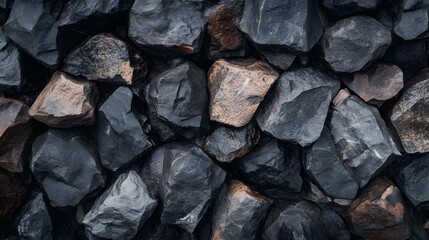 Dark rocks and stones fill the frame creating a textured natural background.