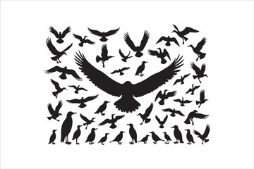 Bird Silhouette Bundle | Flying Birds Vector Clipart | SVG, PNG, EPS for Cricut & Laser Cutting

Birds Vector Silhouettes | Wildlife Animal SVG Files | Digital Bird Clipart for Crafts & Decor

Flying 