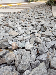 Close-up photo of garden coral stone used as an aesthetic ground cover in the garden