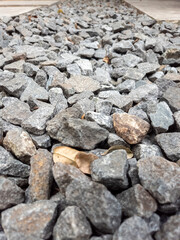 Close-up photo of garden coral stone used as an aesthetic ground cover in the garden