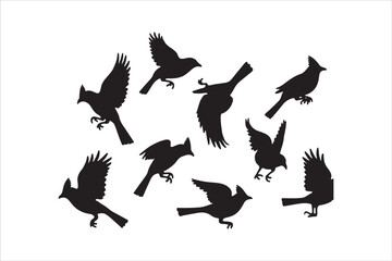 Bird Silhouette Bundle | Flying Birds Vector Clipart | SVG, PNG, EPS for Cricut & Laser Cutting

Birds Vector Silhouettes | Wildlife Animal SVG Files | Digital Bird Clipart for Crafts & Decor

Flying 