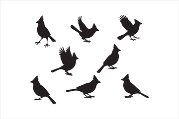 Bird Silhouette Bundle | Flying Birds Vector Clipart | SVG, PNG, EPS for Cricut & Laser Cutting

Birds Vector Silhouettes | Wildlife Animal SVG Files | Digital Bird Clipart for Crafts & Decor

Flying 