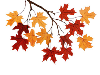 Isolated Autumn Leaves Branch Against Transparent Background Photo