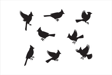 Bird Silhouette Bundle | Flying Birds Vector Clipart | SVG, PNG, EPS for Cricut & Laser Cutting

Birds Vector Silhouettes | Wildlife Animal SVG Files | Digital Bird Clipart for Crafts & Decor

Flying 