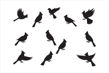 Bird Silhouette Bundle | Flying Birds Vector Clipart | SVG, PNG, EPS for Cricut & Laser Cutting

Birds Vector Silhouettes | Wildlife Animal SVG Files | Digital Bird Clipart for Crafts & Decor

Flying 