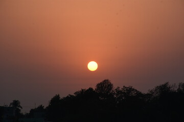 Obraz premium Silhouetted trees and urban skyline against a vibrant orange sunset, perfect for lifestyle blogs or cityscape-themed projects.