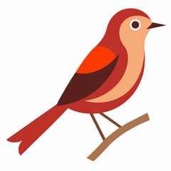 Nightingale bird vector art illustration