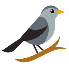 Obraz premium Nightingale bird vector art illustration