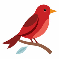 Nightingale bird vector art illustration