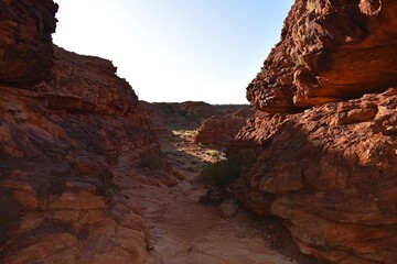 paysage dans l'outback australien