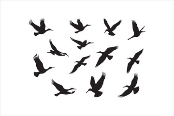 Bird Silhouette Bundle | Flying Birds Vector Clipart | SVG, PNG, EPS for Cricut & Laser Cutting

Birds Vector Silhouettes | Wildlife Animal SVG Files | Digital Bird Clipart for Crafts & Decor

Flying 