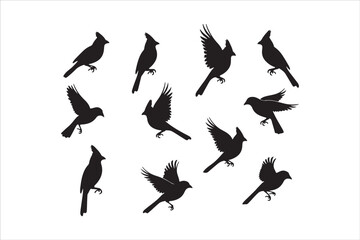 Bird Silhouette Bundle | Flying Birds Vector Clipart | SVG, PNG, EPS for Cricut & Laser Cutting

Birds Vector Silhouettes | Wildlife Animal SVG Files | Digital Bird Clipart for Crafts & Decor

Flying 
