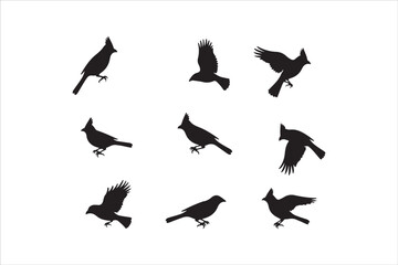 Bird Silhouette Bundle | Flying Birds Vector Clipart | SVG, PNG, EPS for Cricut & Laser Cutting

Birds Vector Silhouettes | Wildlife Animal SVG Files | Digital Bird Clipart for Crafts & Decor

Flying 