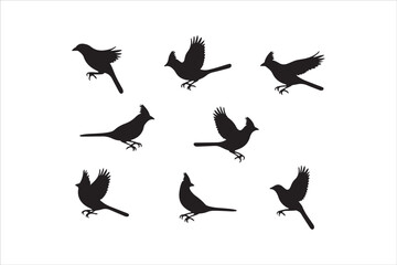 Bird Silhouette Bundle | Flying Birds Vector Clipart | SVG, PNG, EPS for Cricut & Laser Cutting

Birds Vector Silhouettes | Wildlife Animal SVG Files | Digital Bird Clipart for Crafts & Decor

Flying 