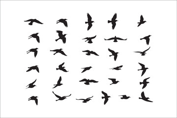 Bird Silhouette Bundle | Flying Birds Vector Clipart | SVG, PNG, EPS for Cricut & Laser Cutting

Birds Vector Silhouettes | Wildlife Animal SVG Files | Digital Bird Clipart for Crafts & Decor

Flying 
