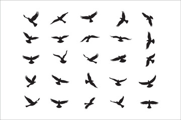 Bird Silhouette Bundle | Flying Birds Vector Clipart | SVG, PNG, EPS for Cricut & Laser Cutting

Birds Vector Silhouettes | Wildlife Animal SVG Files | Digital Bird Clipart for Crafts & Decor

Flying 