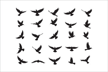 Bird Silhouette Bundle | Flying Birds Vector Clipart | SVG, PNG, EPS for Cricut & Laser Cutting

Birds Vector Silhouettes | Wildlife Animal SVG Files | Digital Bird Clipart for Crafts & Decor

Flying 