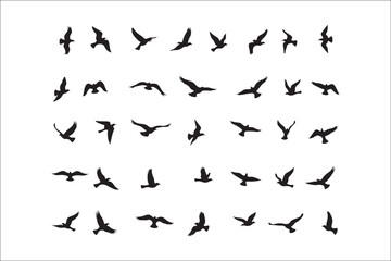 Bird Silhouette Bundle | Flying Birds Vector Clipart | SVG, PNG, EPS for Cricut & Laser Cutting

Birds Vector Silhouettes | Wildlife Animal SVG Files | Digital Bird Clipart for Crafts & Decor

Flying 