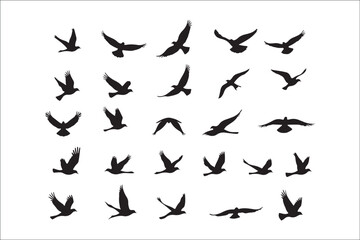 Bird Silhouette Bundle | Flying Birds Vector Clipart | SVG, PNG, EPS for Cricut & Laser Cutting

Birds Vector Silhouettes | Wildlife Animal SVG Files | Digital Bird Clipart for Crafts & Decor

Flying 