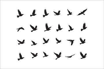 Bird Silhouette Bundle | Flying Birds Vector Clipart | SVG, PNG, EPS for Cricut & Laser Cutting

Birds Vector Silhouettes | Wildlife Animal SVG Files | Digital Bird Clipart for Crafts & Decor

Flying 