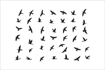 Naklejka premium Bird Silhouette Bundle | Flying Birds Vector Clipart | SVG, PNG, EPS for Cricut & Laser CuttingBirds Vector Silhouettes | Wildlife Animal SVG Files | Digital Bird Clipart for Crafts & DecorFlying 