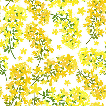 seamless texture with tutsan blooms. pattern with tall St John's wort. Hypericum flowers