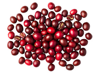 Isolated Coffee Beans on Transparent Background Macro Shot of Red Berries