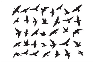 Bird Silhouette Bundle | Flying Birds Vector Clipart | SVG, PNG, EPS for Cricut & Laser Cutting

Birds Vector Silhouettes | Wildlife Animal SVG Files | Digital Bird Clipart for Crafts & Decor

Flying 