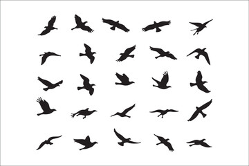 Bird Silhouette Bundle | Flying Birds Vector Clipart | SVG, PNG, EPS for Cricut & Laser Cutting

Birds Vector Silhouettes | Wildlife Animal SVG Files | Digital Bird Clipart for Crafts & Decor

Flying 