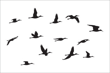 Bird Silhouette Bundle | Flying Birds Vector Clipart | SVG, PNG, EPS for Cricut & Laser Cutting

Birds Vector Silhouettes | Wildlife Animal SVG Files | Digital Bird Clipart for Crafts & Decor

Flying 