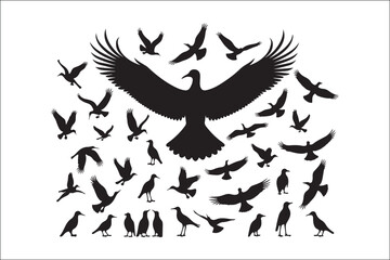 Bird Silhouette Bundle | Flying Birds Vector Clipart | SVG, PNG, EPS for Cricut & Laser Cutting

Birds Vector Silhouettes | Wildlife Animal SVG Files | Digital Bird Clipart for Crafts & Decor

Flying 